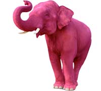 The Podgas Pink Elephant